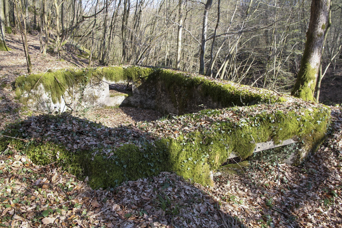 Ligne Maginot - B734 - BOIS DE CHATENIERE - (Cuve pour arme d'infanterie) -  - Alain Perouffe