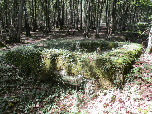 Ligne Maginot - B734 - BOIS DE CHATENIERE - (Cuve pour arme d'infanterie) -  - Randonneur62