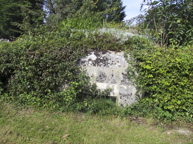 Ligne Maginot - B736 - PÂTURE aux BOEUFS - Ce blockhaus est situé dans le potager d'un particulier en bordure du chemin des Wattinettes. - Randonneur62