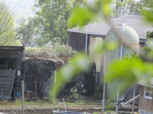 Ligne Maginot - B737 - BEAUX MONTS - (Blockhaus pour canon) - Blockhaus situé dans la cour d'une ferme. - Randonneur62