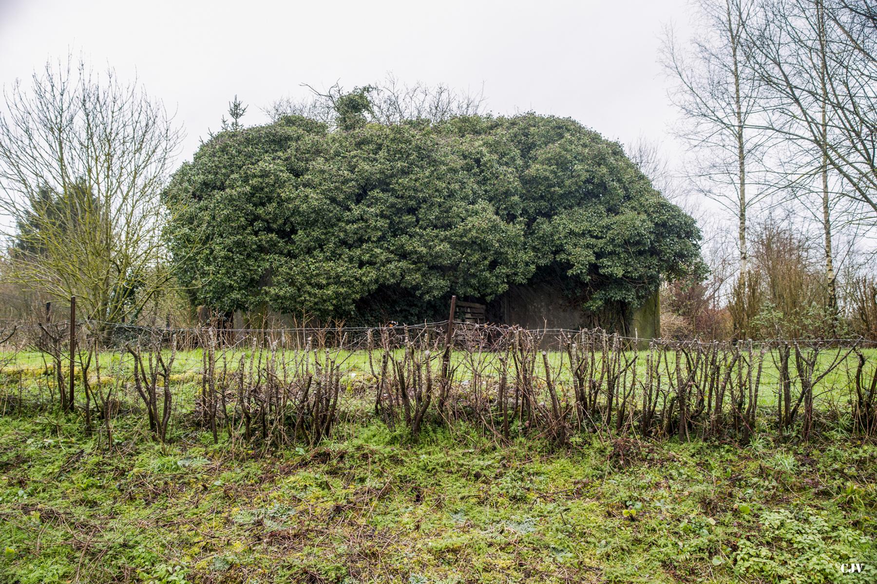 Ligne Maginot - B738 - LIESSIES - (Blockhaus pour canon) -  - Lia VERMEULEN