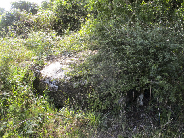 Ligne Maginot - B739 - PONT DE LA VILLE - (Blockhaus pour arme infanterie) - Photo prise depuis le haut du remblai de la la voie verte de l'Avesnois. - Randonneur62