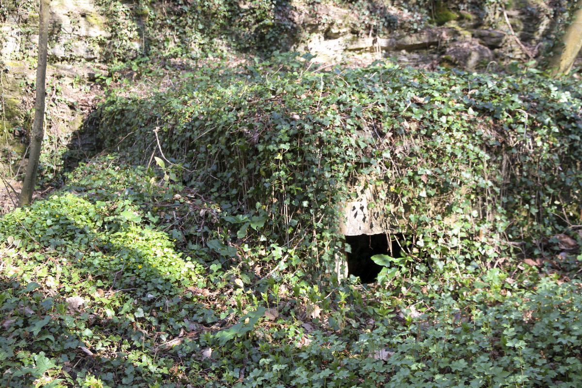 Ligne Maginot - B741 - LA PERRIERE - (Blockhaus pour arme infanterie) -  - Alain Perouffe