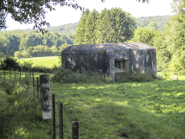 Ligne Maginot - B742 - FONTAINE JACQUOT - (Blockhaus pour canon) - Photo prise depuis e chemin de terre longeant le pré clôturé. - Randonneur62