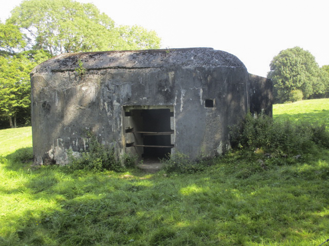 Ligne Maginot - B742 - FONTAINE JACQUOT - (Blockhaus pour canon) - Blockhaus situé dans un pré clôturé. - Randonneur62