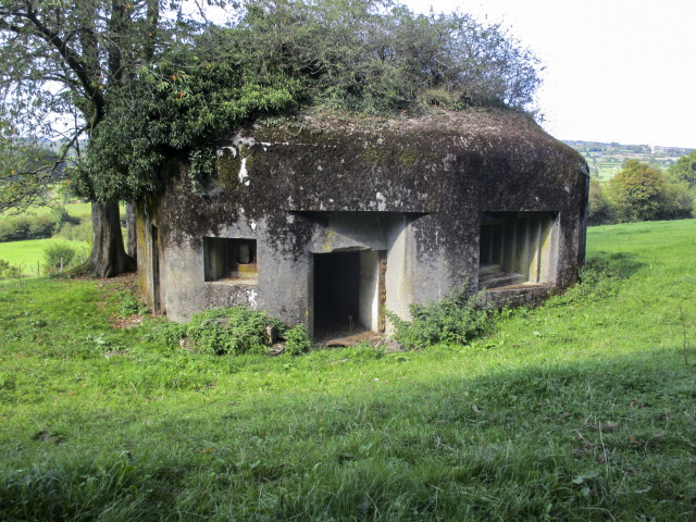 Ligne Maginot - B746 - CROIX DE TRELON EST - (Blockhaus pour canon) -  - Randonneur62