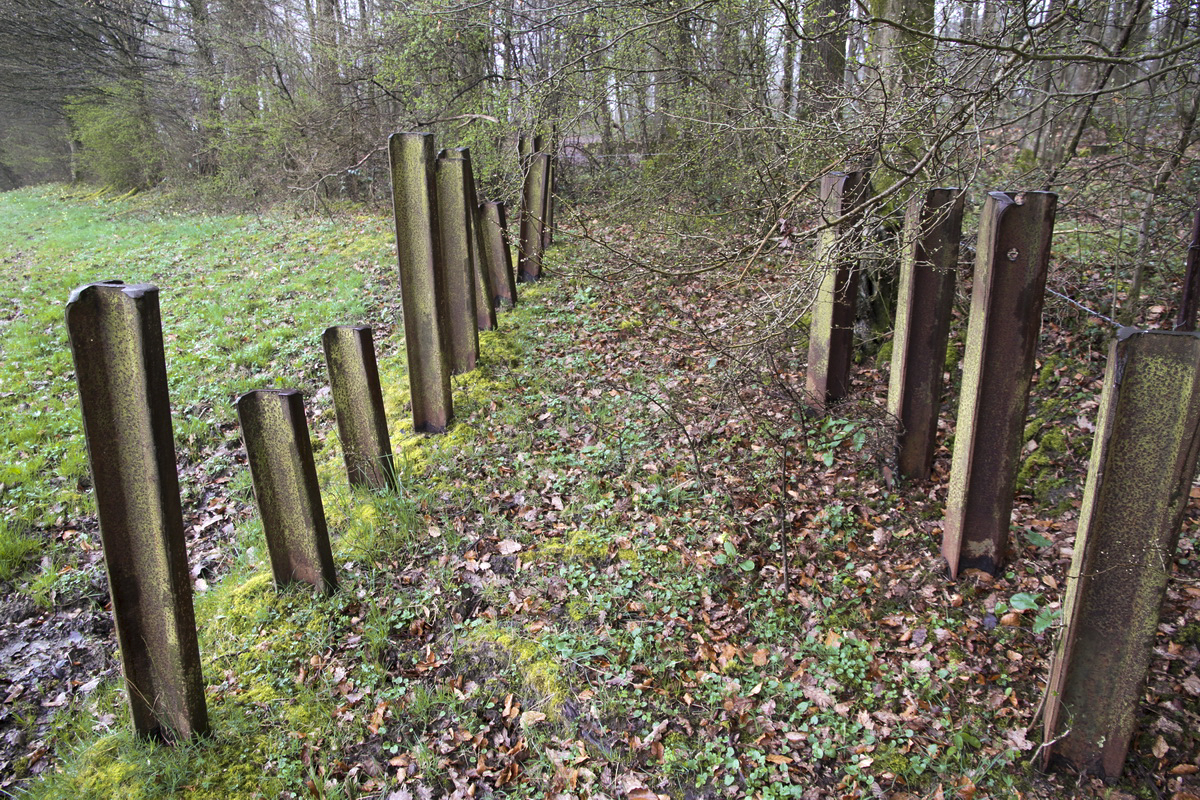 Ligne Maginot - B746 - CROIX DE TRELON EST - (Blockhaus pour canon) - Restes du réseau antichar au dessus du bloc - Alain Perouffe