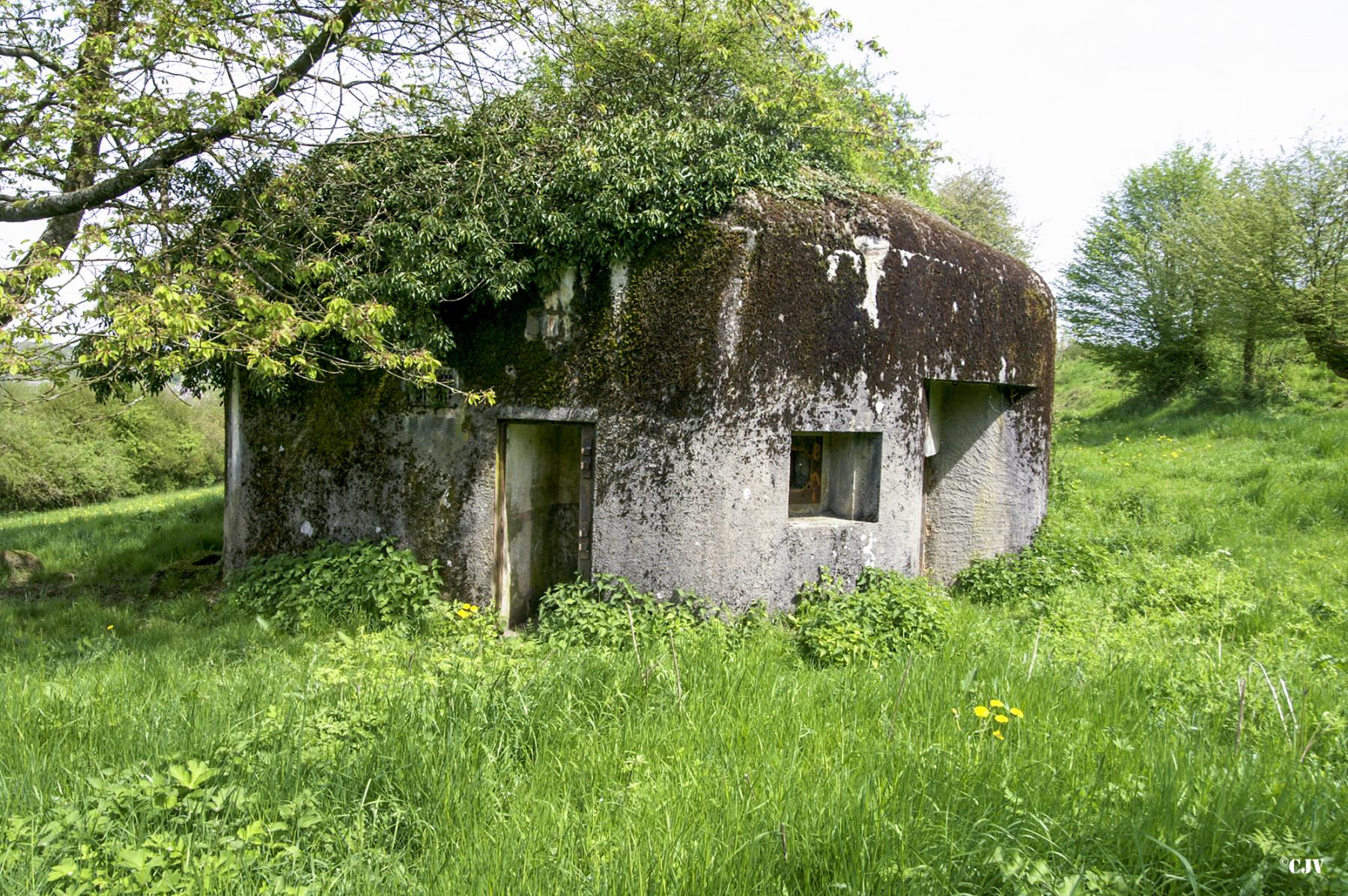 Ligne Maginot - B746 - CROIX DE TRELON EST - (Blockhaus pour canon) -  - Caspar Vermeulen