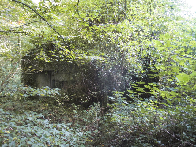Ligne Maginot - B747 - LE CHAMPIAU - (Blockhaus pour canon) -  - Randonneur62
