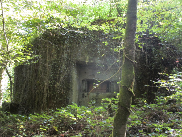 Ligne Maginot - B747 - LE CHAMPIAU - (Blockhaus pour canon) -  - Randonneur62
