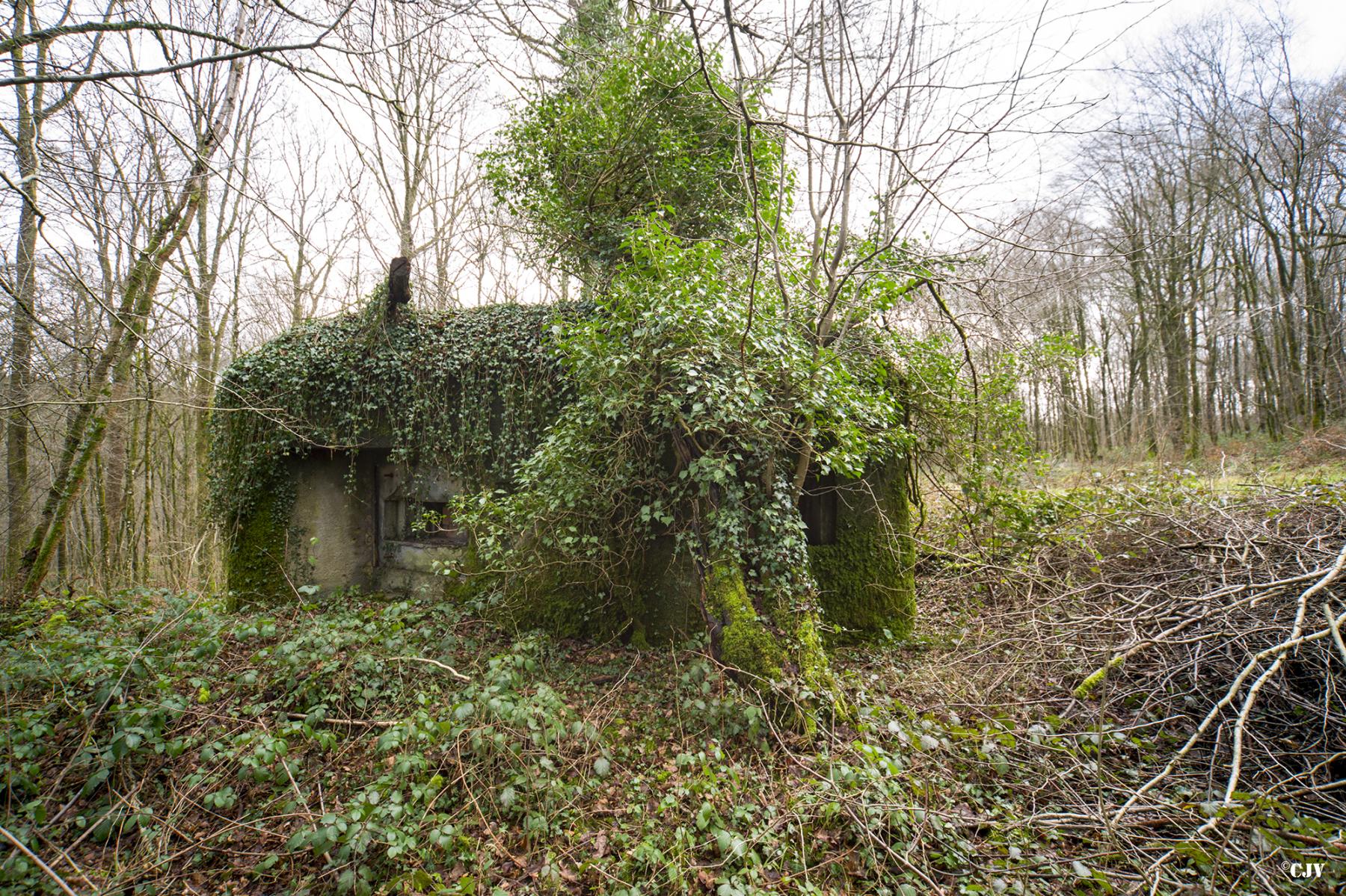 Ligne Maginot - B747 - LE CHAMPIAU - (Blockhaus pour canon) -  - Lia VERMEULEN