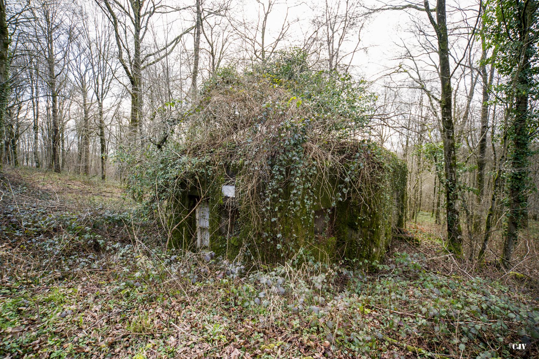 Ligne Maginot - B747 - LE CHAMPIAU - (Blockhaus pour canon) - Face arrière - Lia VERMEULEN