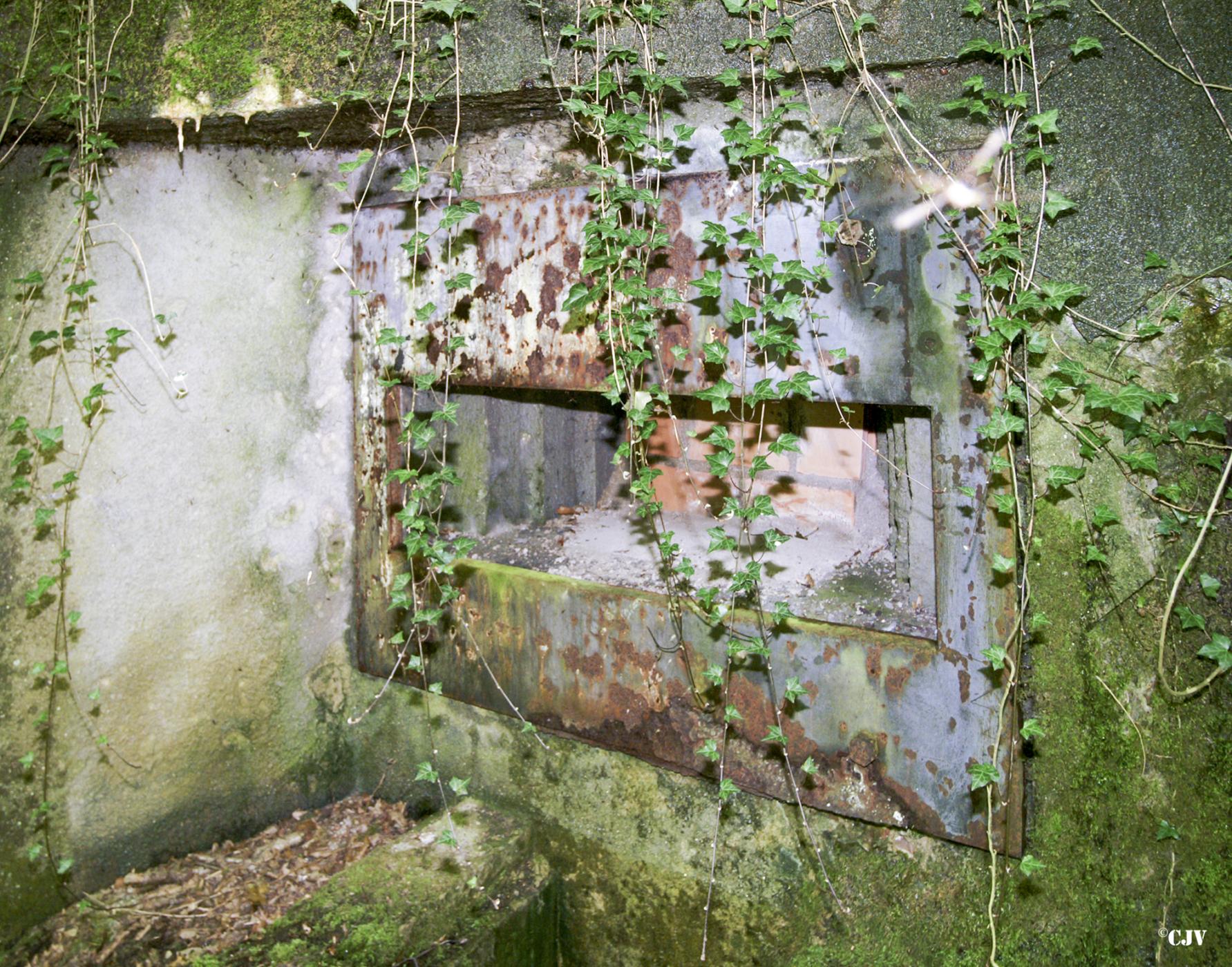 Ligne Maginot - B747 - LE CHAMPIAU - (Blockhaus pour canon) -  - Caspar Vermeulen