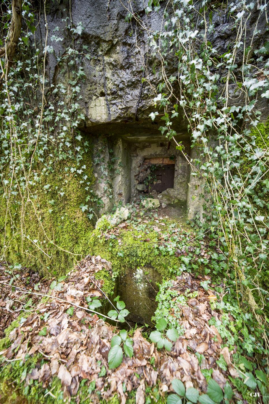 Ligne Maginot - B747 - LE CHAMPIAU - (Blockhaus pour canon) -  - Lia VERMEULEN
