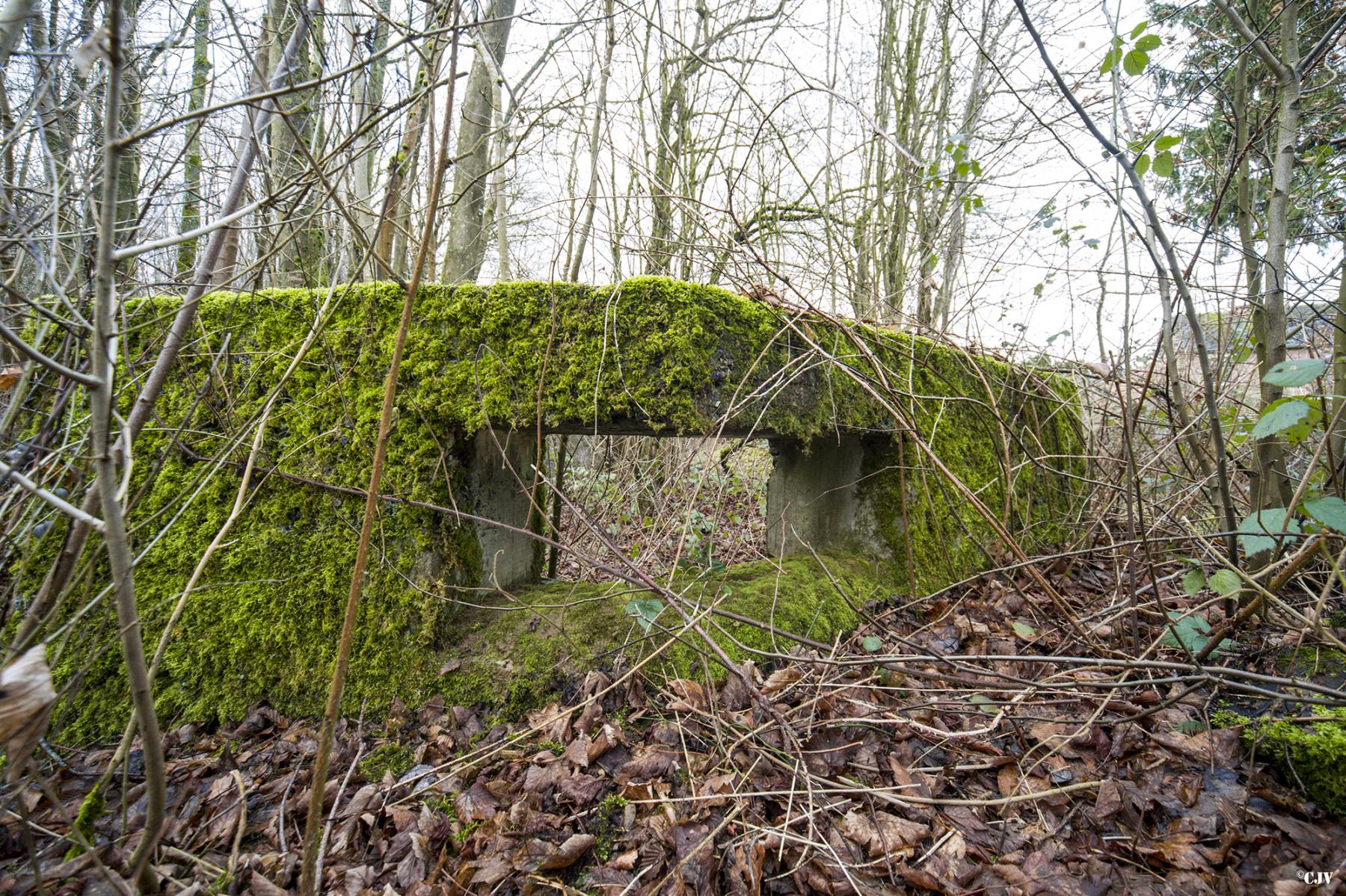 Ligne Maginot - B749 - CHEMIN DES MOINES - (Cuve pour arme d'infanterie) -  - Lia VERMEULEN