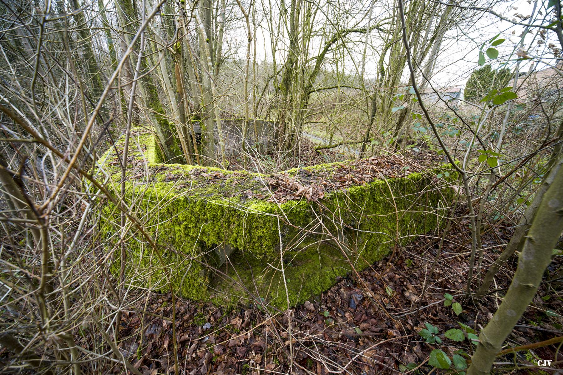 Ligne Maginot - B749 - CHEMIN DES MOINES - (Cuve pour arme d'infanterie) -  - Lia VERMEULEN