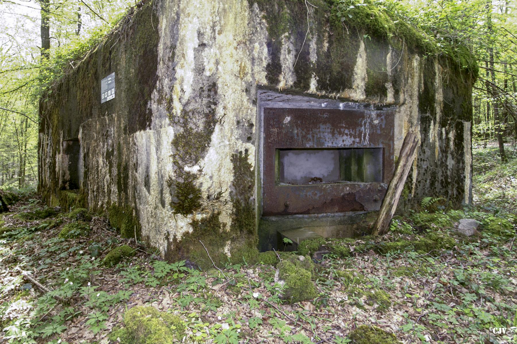 Ligne Maginot - B750 - SAINTE HILTRUDE - (Blockhaus pour canon) -  - Caspar Vermeulen