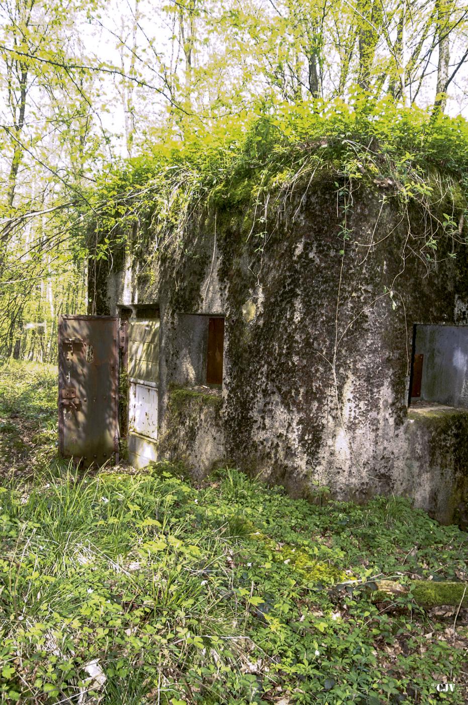 Ligne Maginot - B750 - SAINTE HILTRUDE - (Blockhaus pour canon) -  - Caspar Vermeulen