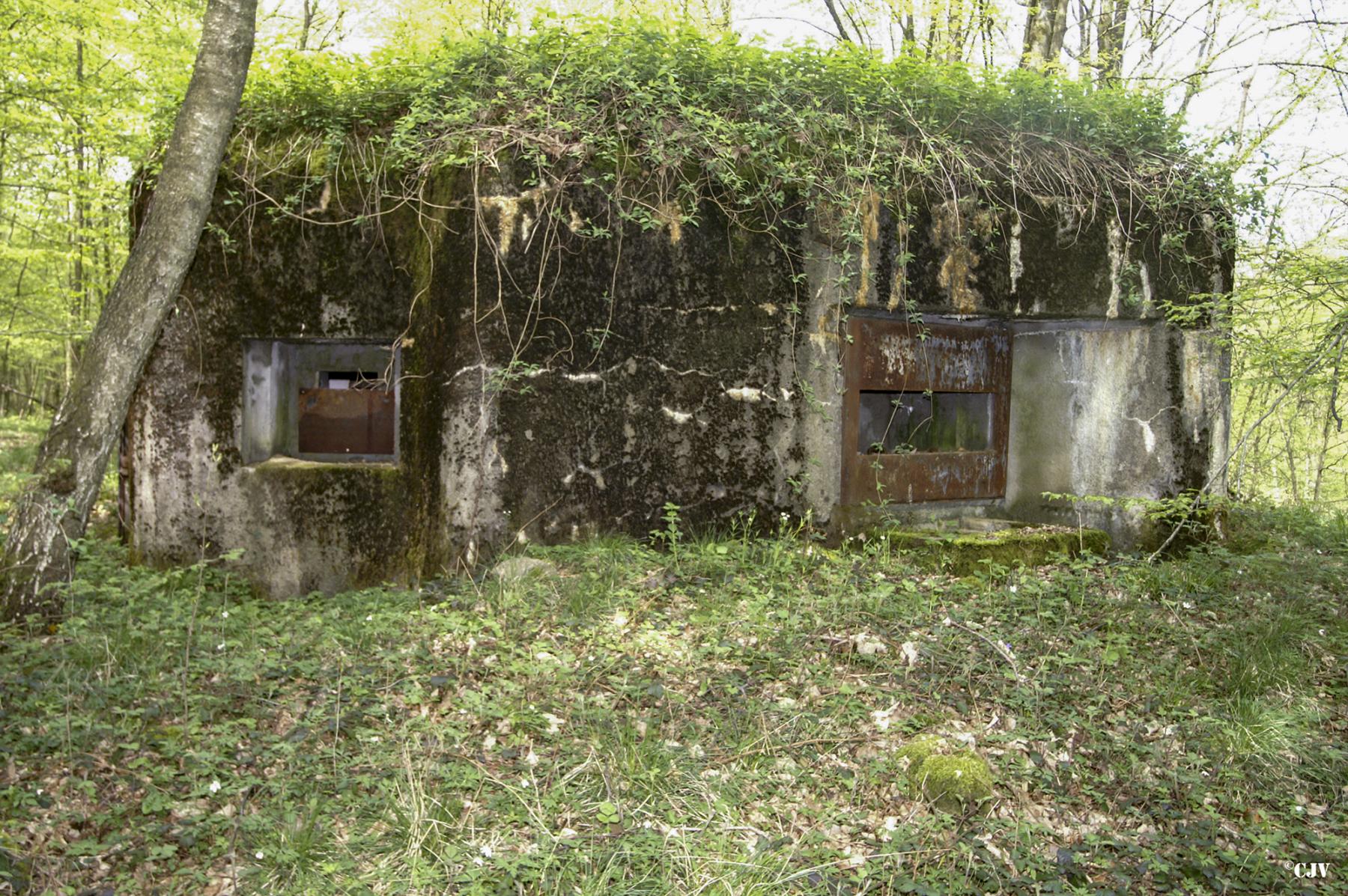 Ligne Maginot - B750 - SAINTE HILTRUDE - (Blockhaus pour canon) -  - Caspar Vermeulen