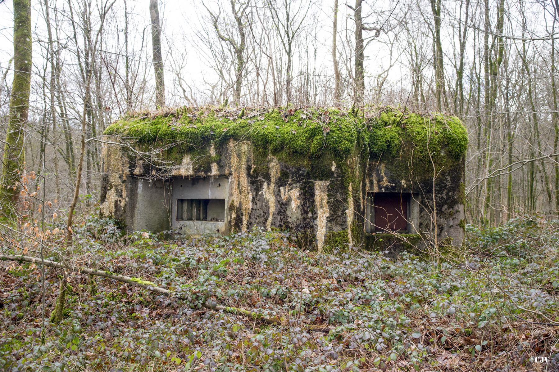 Ligne Maginot - B750 - SAINTE HILTRUDE - (Blockhaus pour canon) -  - Lia VERMEULEN