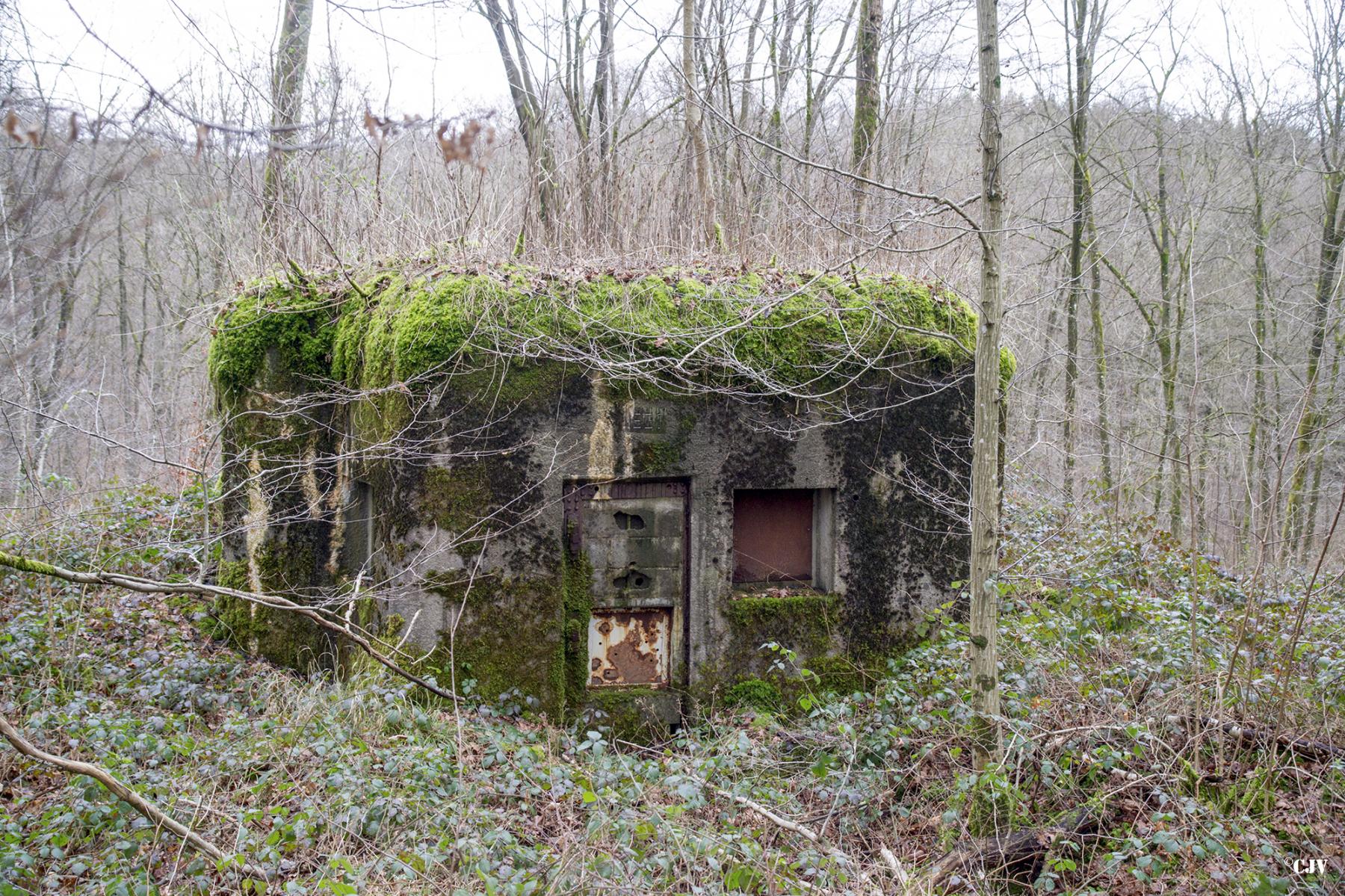 Ligne Maginot - B750 - SAINTE HILTRUDE - (Blockhaus pour canon) -  - Lia VERMEULEN