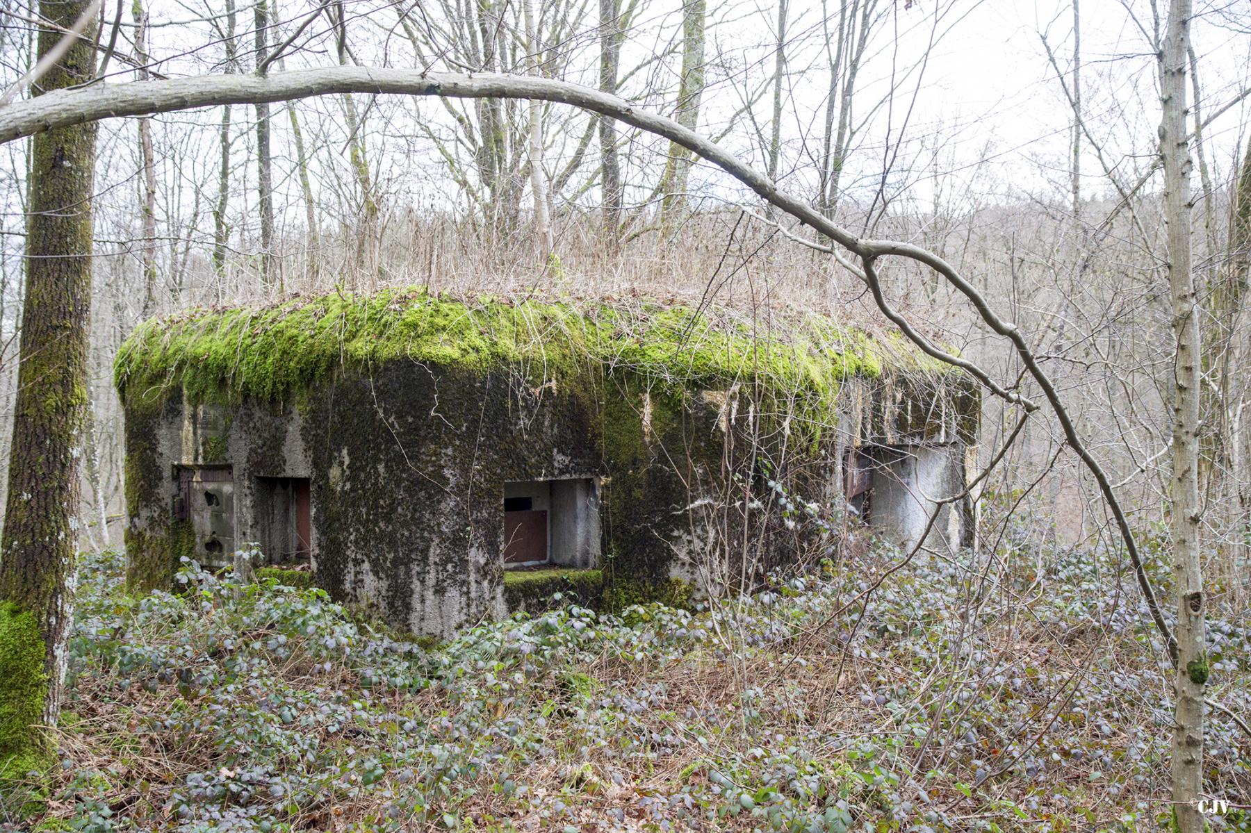 Ligne Maginot - B750 - SAINTE HILTRUDE - (Blockhaus pour canon) -  - Lia VERMEULEN