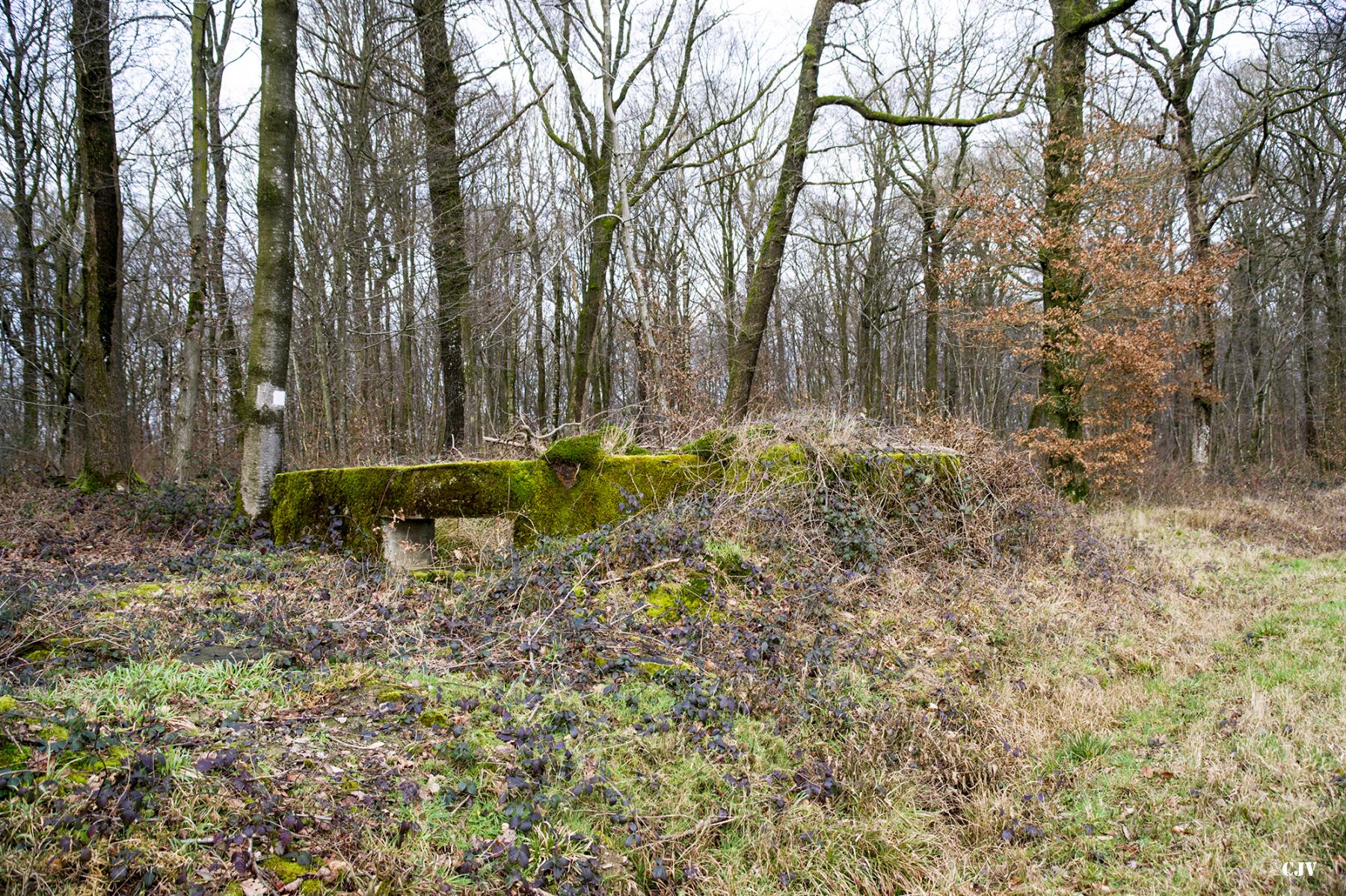 Ligne Maginot - B750BIS - LES AISEMENTS - (Cuve pour canon) -  - Lia VERMEULEN