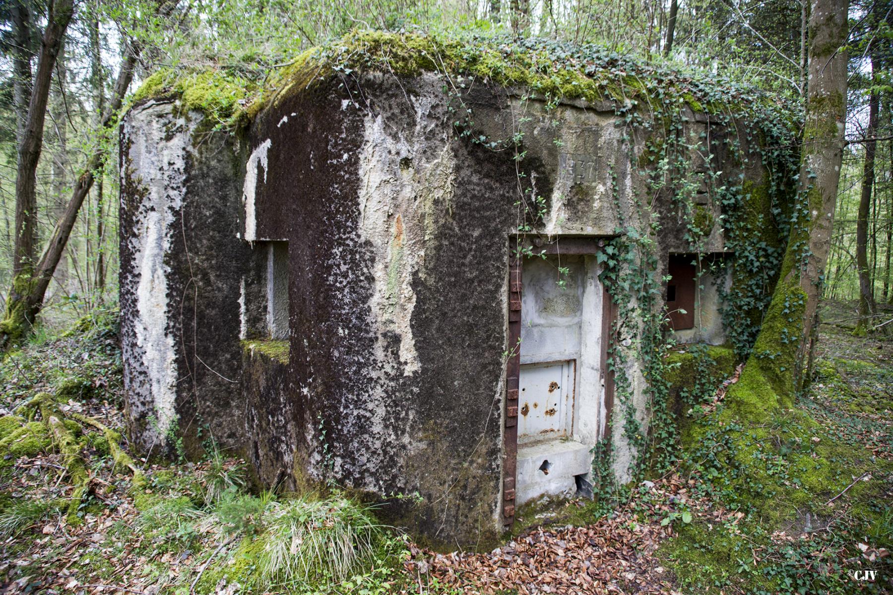 Ligne Maginot - B751 - BEAU CHENE - (Blockhaus pour canon) -  - Lia VERMEULEN