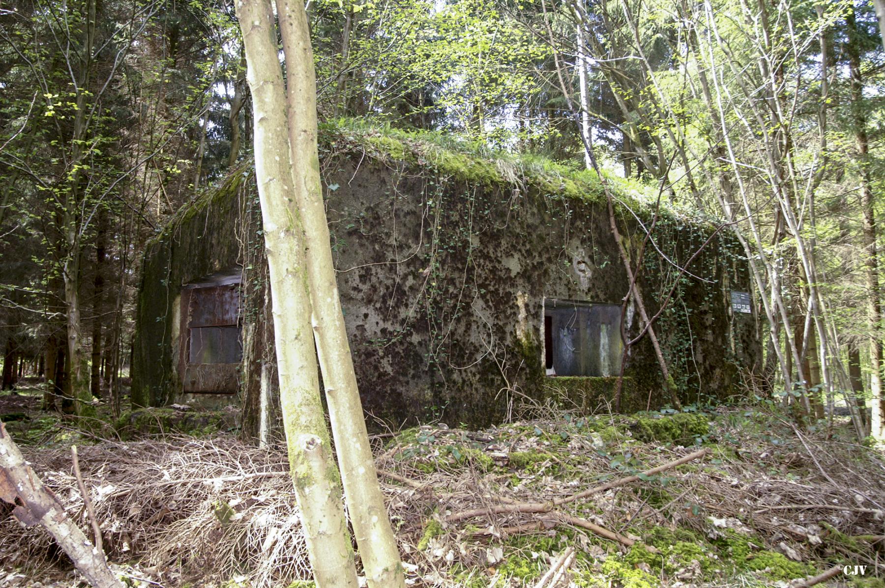 Ligne Maginot - B751 - BEAU CHENE - (Blockhaus pour canon) -  - Caspar Vermeulen