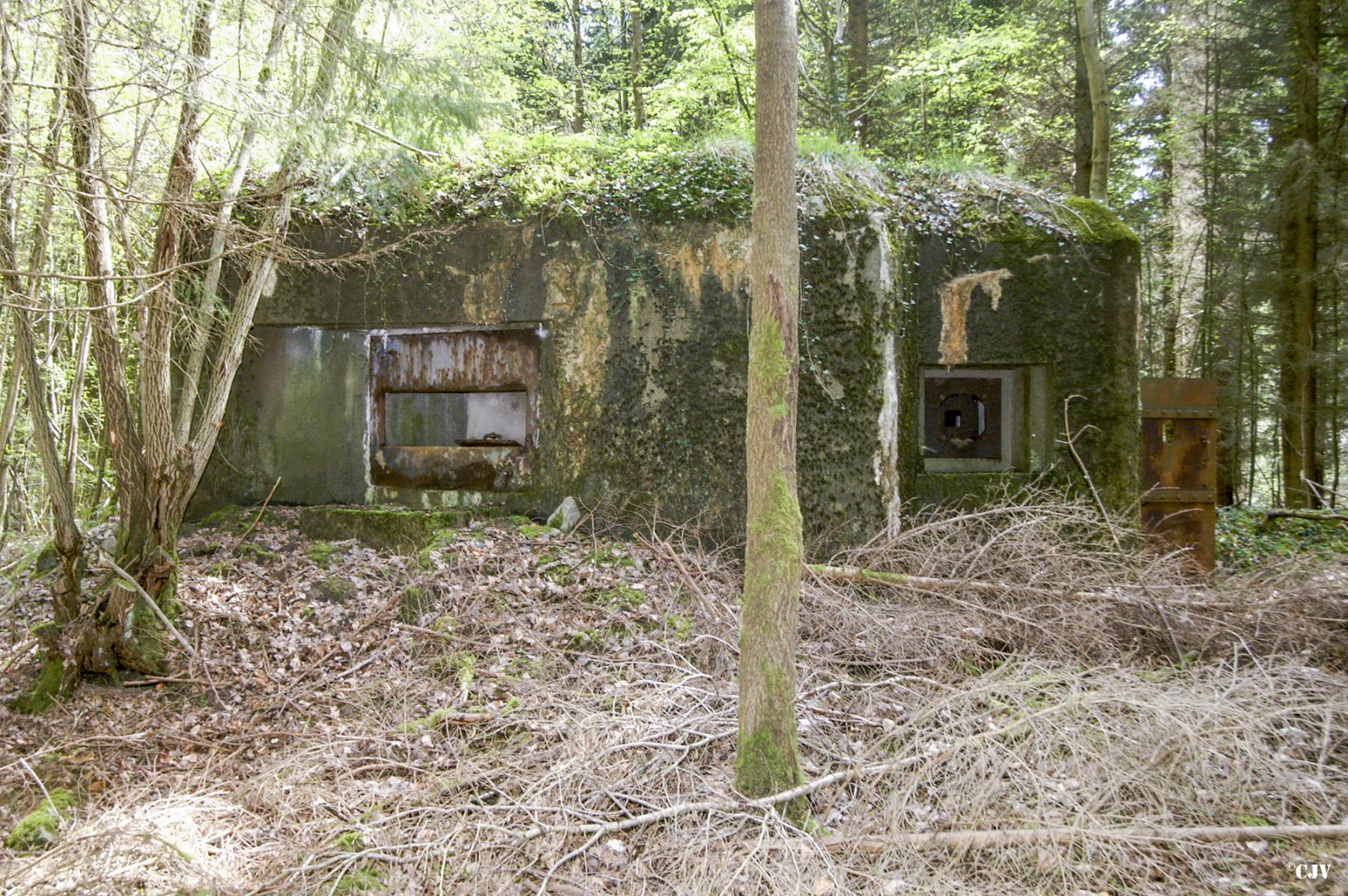 Ligne Maginot - B751 - BEAU CHENE - (Blockhaus pour canon) -  - Caspar Vermeulen