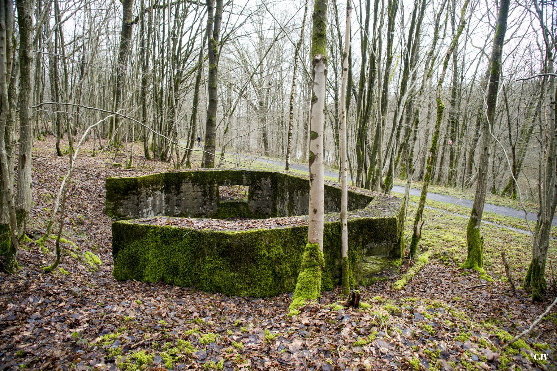 Ligne Maginot - B752 - GRAND-ÉTANG SUD - (Cuve pour arme d'infanterie) -  - Lia VERMEULEN