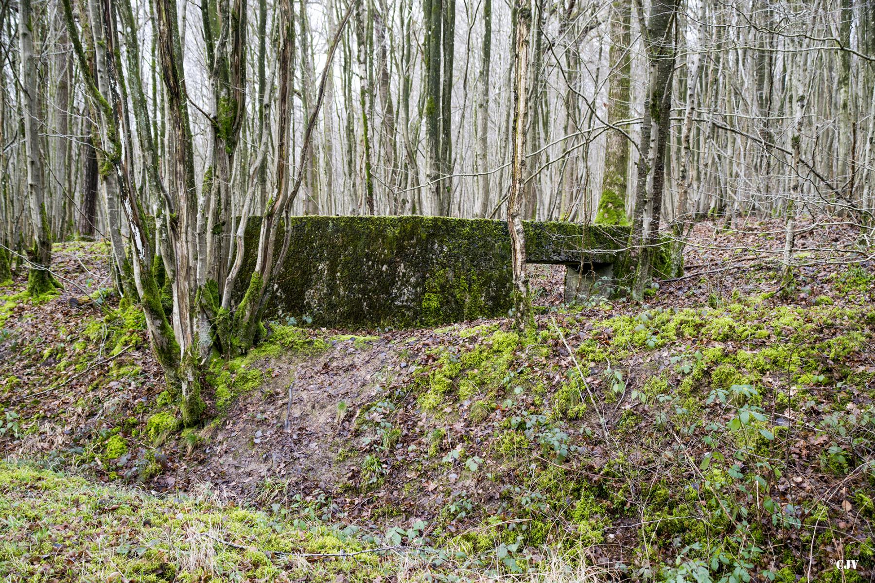 Ligne Maginot - B752 - GRAND-ÉTANG SUD - (Cuve pour arme d'infanterie) -  - Lia VERMEULEN