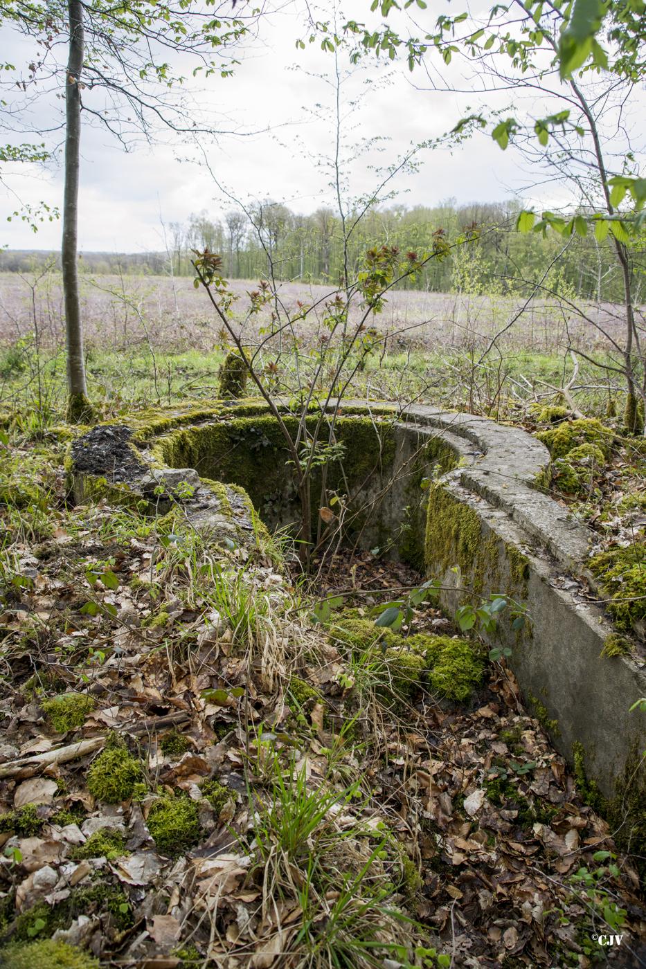 Ligne Maginot - T570 - ROUTE D'EPPE-SAUVAGE - (Cuve pour arme d'infanterie) -  - Lia VERMEULEN