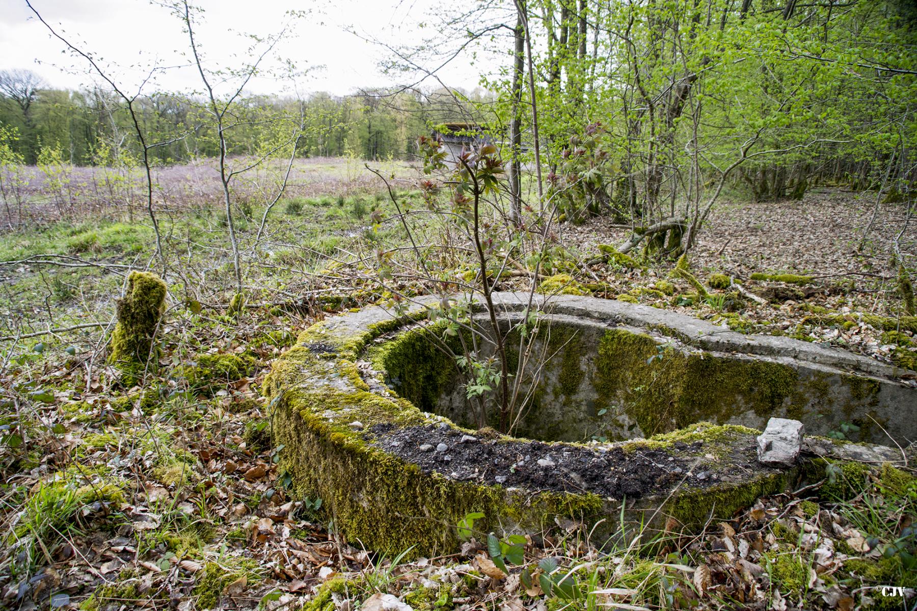 Ligne Maginot - T570 - ROUTE D'EPPE-SAUVAGE - (Cuve pour arme d'infanterie) -  - Lia VERMEULEN