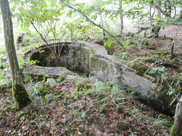 Ligne Maginot - T570 - ROUTE D'EPPE-SAUVAGE - (Cuve pour arme d'infanterie) -  - Randonneur62