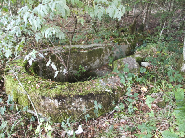 Ligne Maginot - T570 - ROUTE D'EPPE-SAUVAGE - (Cuve pour arme d'infanterie) -  - Randonneur62