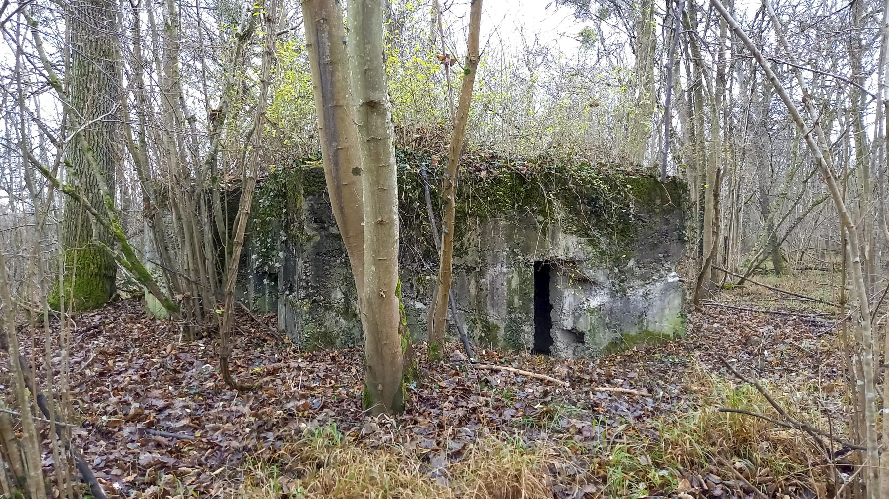 Ligne Maginot - AUSSERE MATTEN EST - (Blockhaus pour arme infanterie) -  - Nicolas MULLER