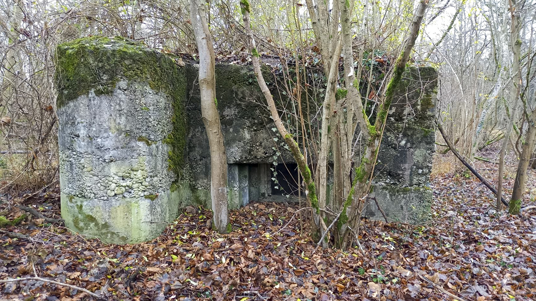 Ligne Maginot - AUSSERE MATTEN EST - (Blockhaus pour arme infanterie) -  - Nicolas MULLER