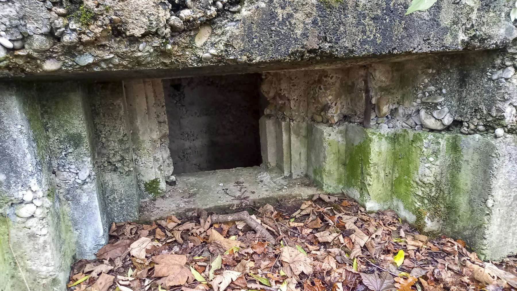 Ligne Maginot - AUSSERE MATTEN EST - (Blockhaus pour arme infanterie) -  - Nicolas MULLER