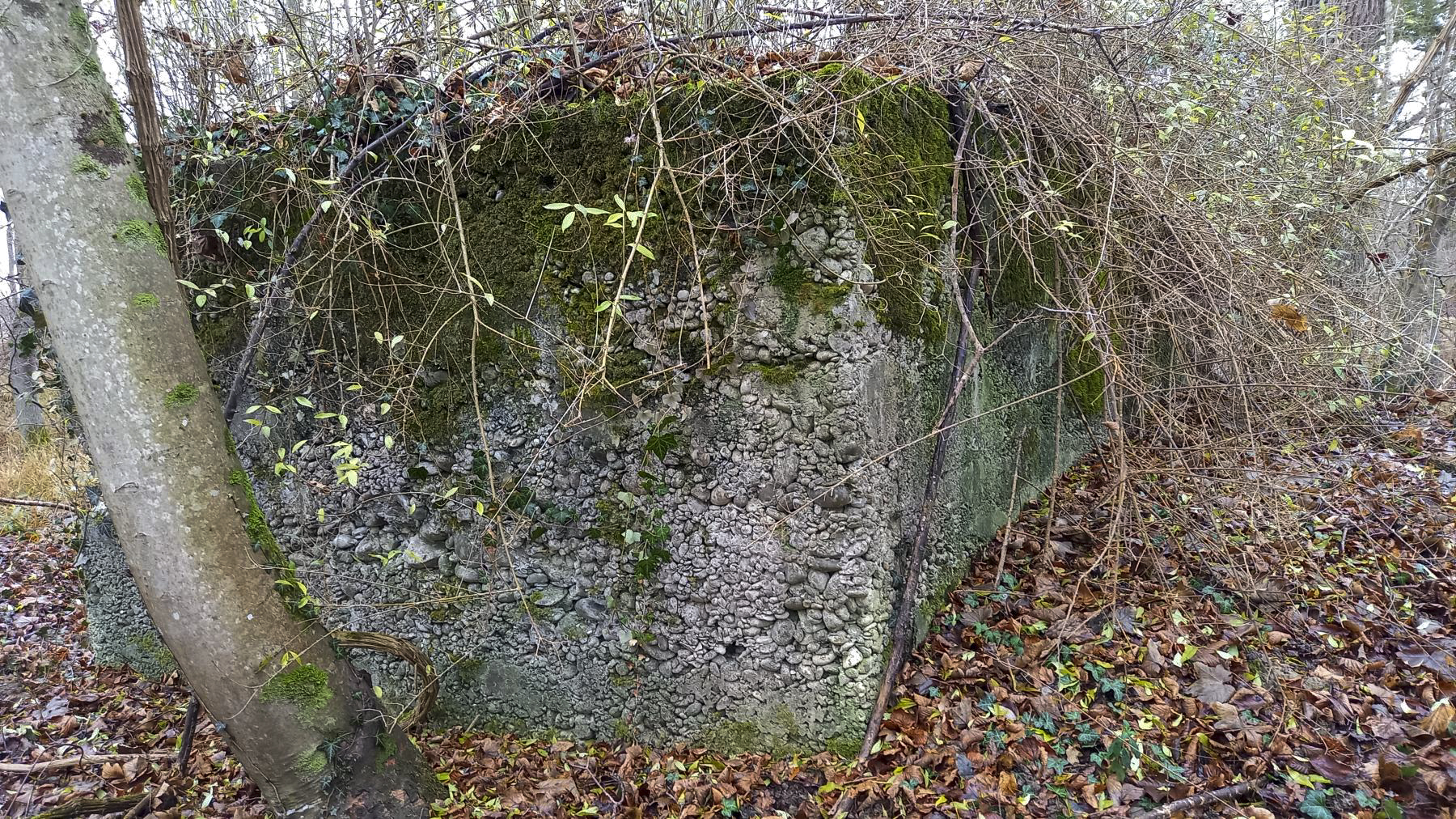 Ligne Maginot - AUSSERE MATTEN EST - (Blockhaus pour arme infanterie) -  - Nicolas MULLER