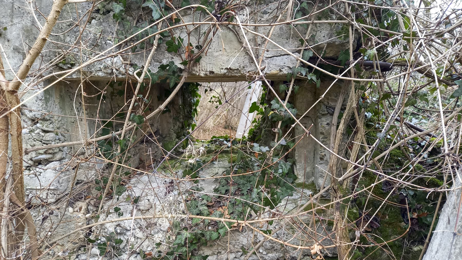 Ligne Maginot - AUSSERE MATTEN OUEST - (Blockhaus de type indéterminé) -  - Nicolas MULLER