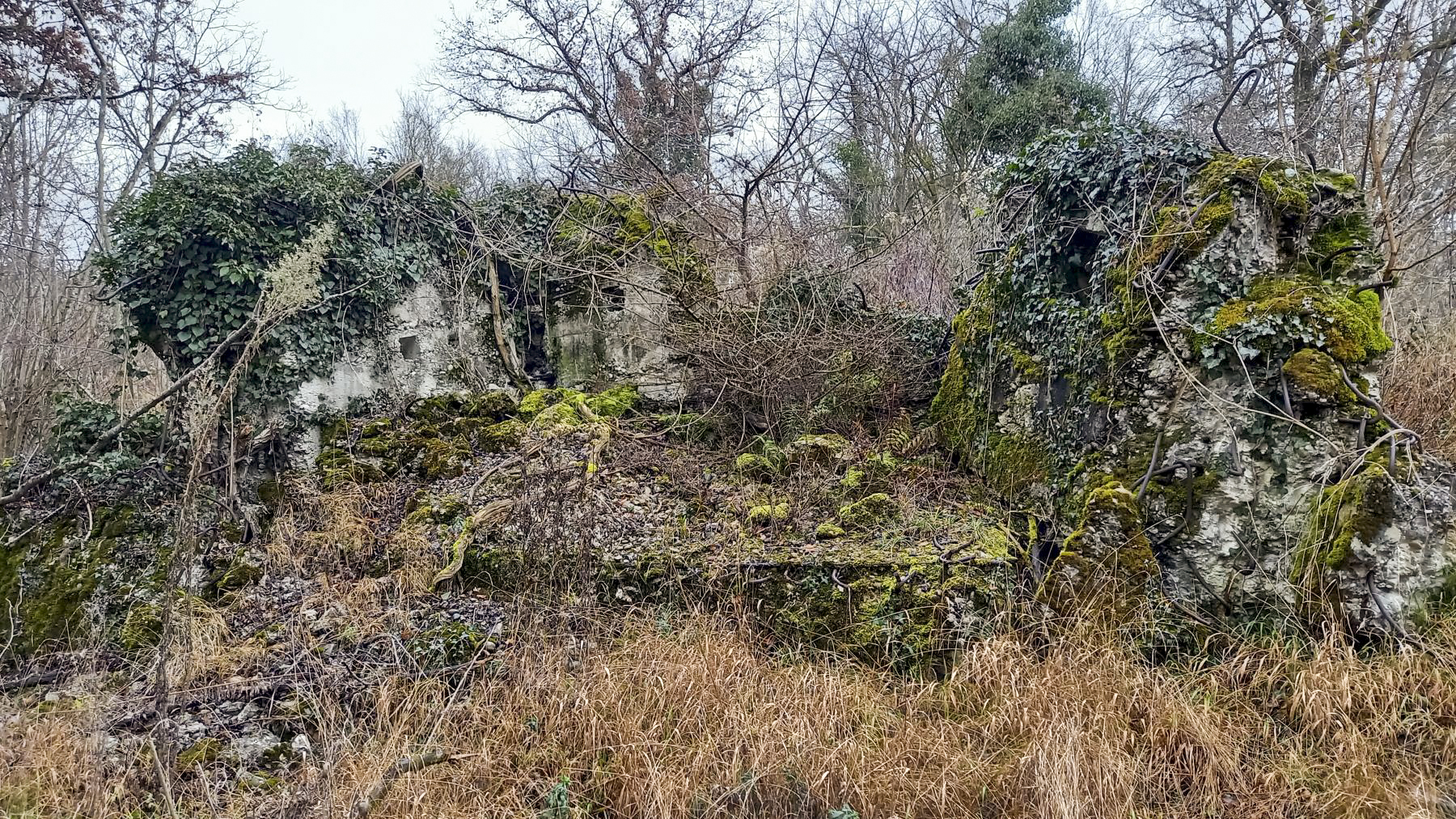Ligne Maginot - AUSSERE MATTEN OUEST - (Blockhaus de type indéterminé) -  - Nicolas MULLER