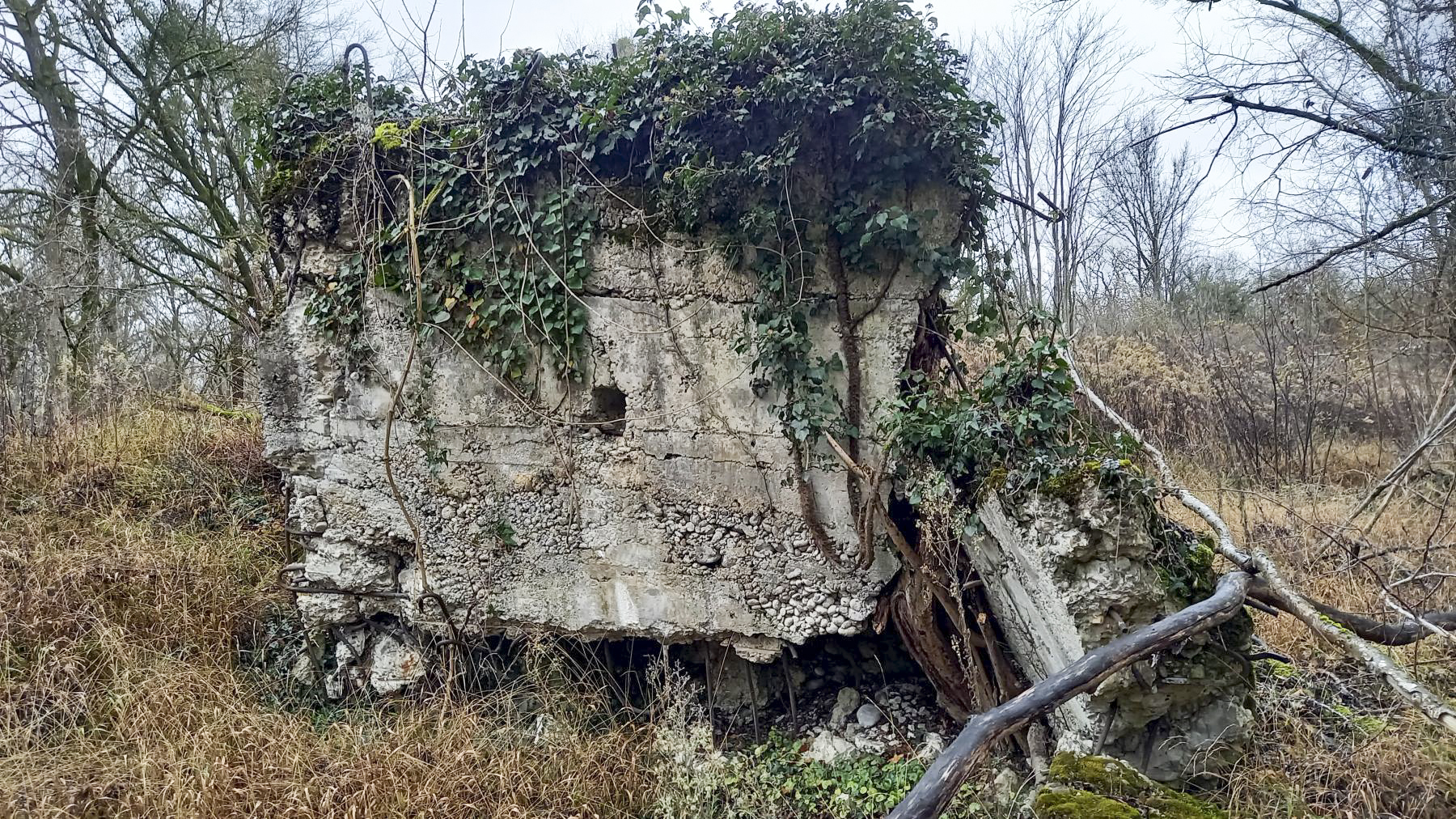 Ligne Maginot - AUSSERE MATTEN OUEST - (Blockhaus de type indéterminé) -  - Nicolas MULLER