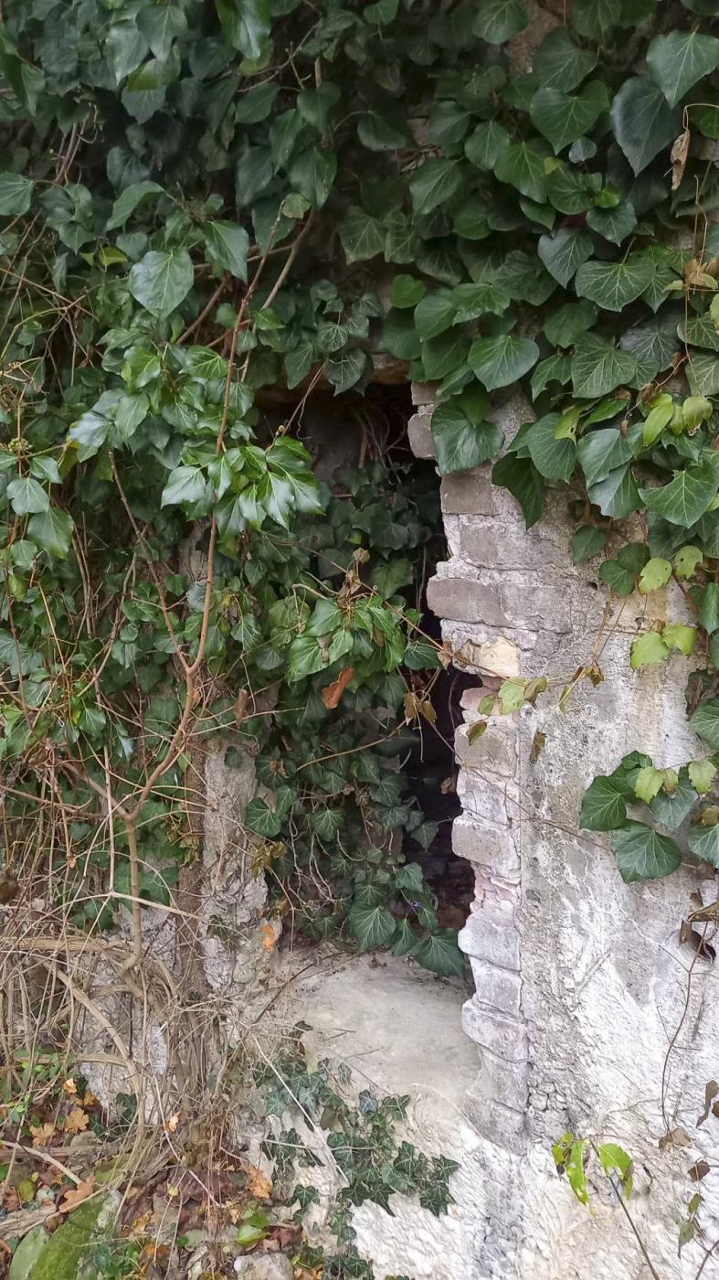 Ligne Maginot - LANGHURST - (Blockhaus pour arme infanterie) -  - Nicolas MULLER