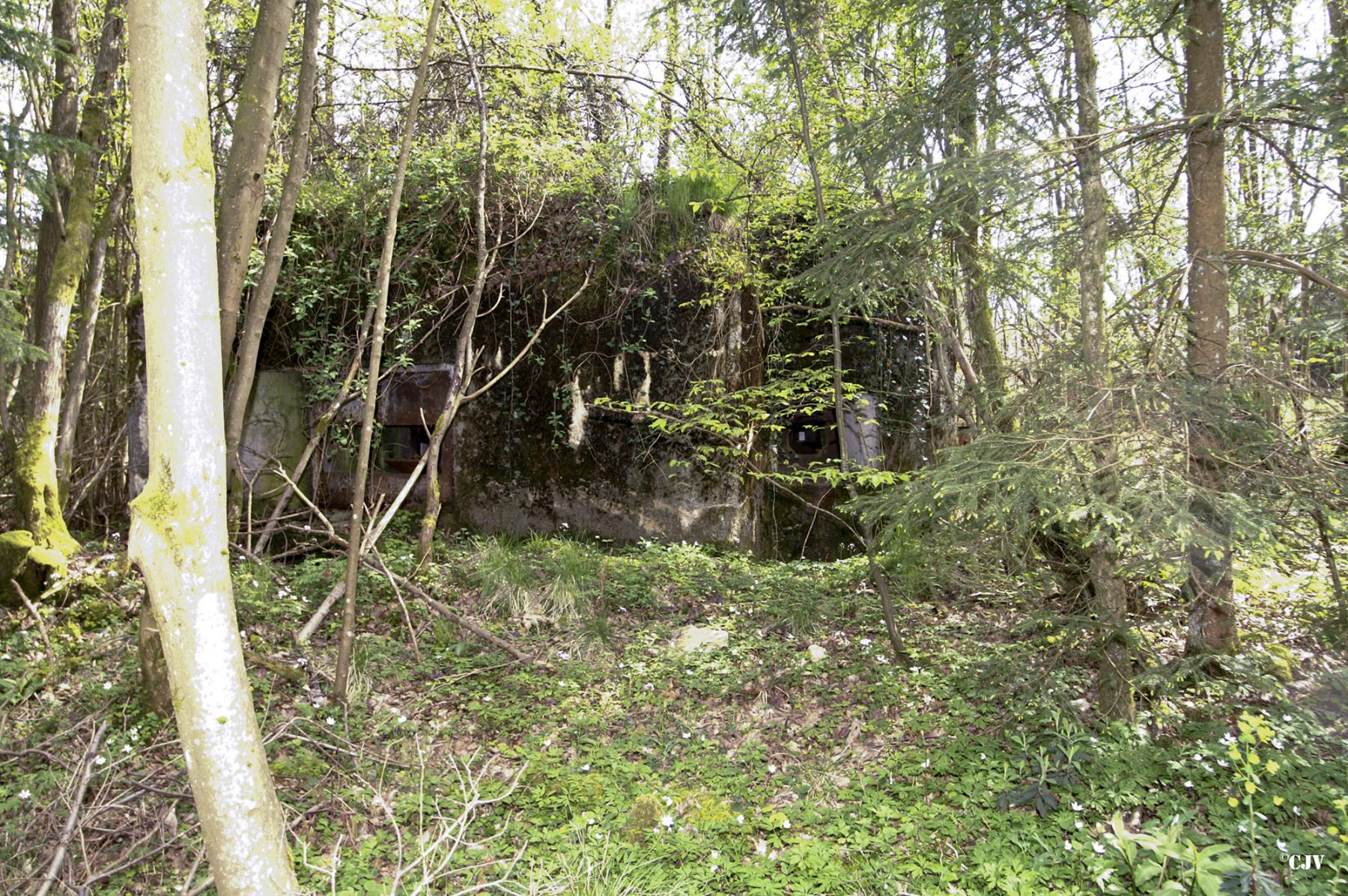 Ligne Maginot - B754 - FOND SAINT JEAN - (Blockhaus pour canon) -  - Caspar Vermeulen