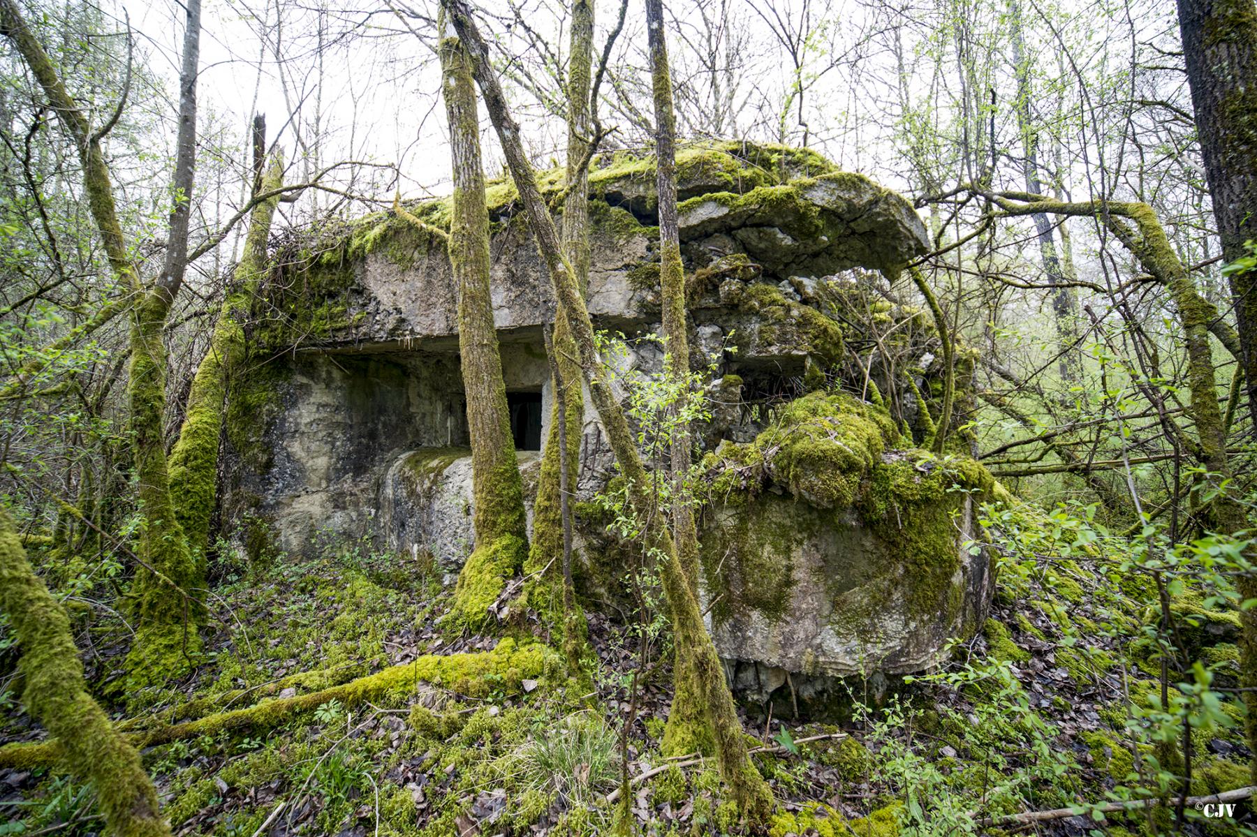 Ligne Maginot - B755 - ROUTE DE WILLIES - (Blockhaus pour canon) -  - Lia VERMEULEN