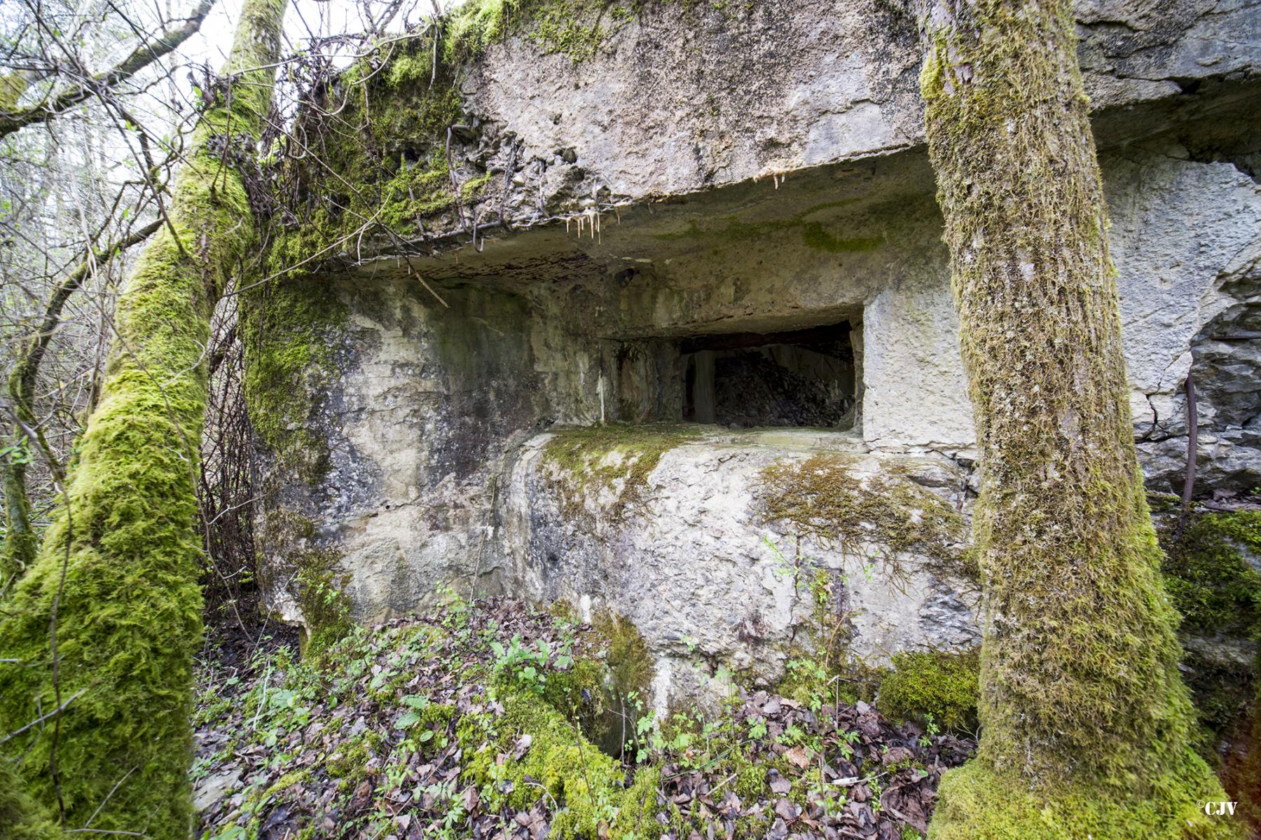 Ligne Maginot - B755 - ROUTE DE WILLIES - (Blockhaus pour canon) -  - Lia VERMEULEN