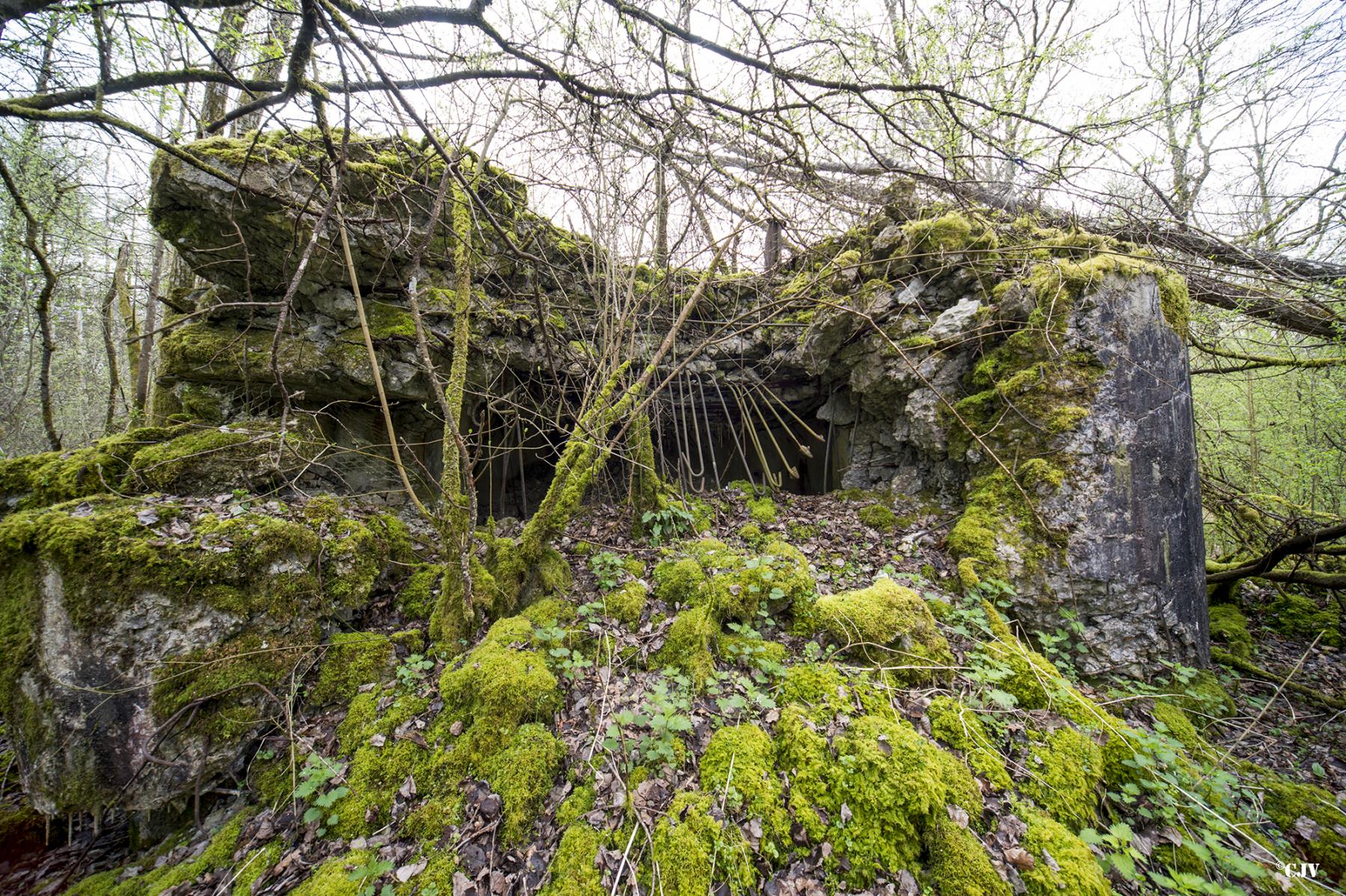Ligne Maginot - B755 - ROUTE DE WILLIES - (Blockhaus pour canon) -  - Lia VERMEULEN