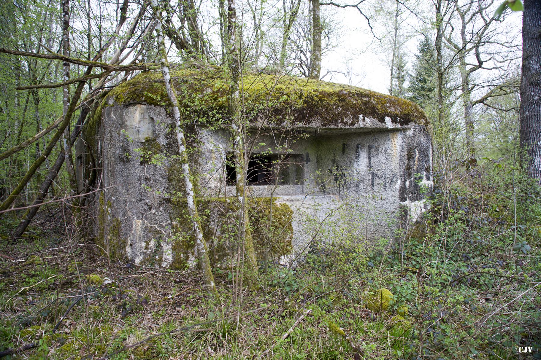 Ligne Maginot - B757 - FOND SAINT JEAN - (Blockhaus pour canon) -  - Lia VERMEULEN
