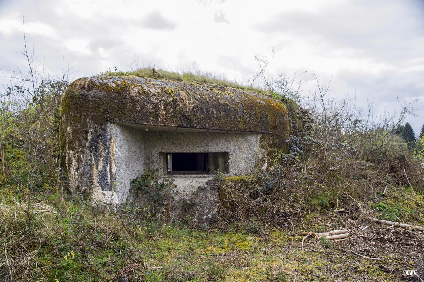 Ligne Maginot - B758 - CARREFOUR FABERT - (Blockhaus pour canon) -  - Lia VERMEULEN